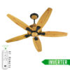 Iris (Inverter)